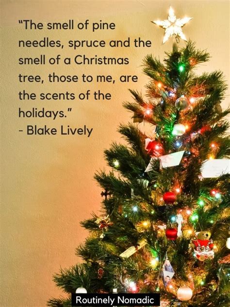 Christmas Tree Quotes Vitalcute