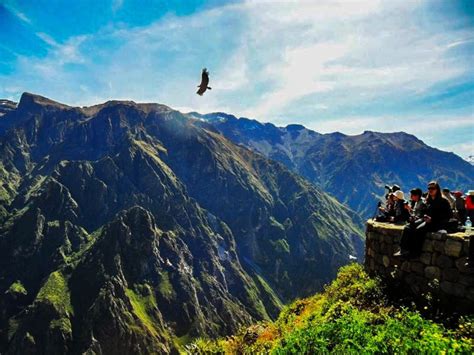Full Day Colca Canyon Flight Of The Condor ★ Machupicchugobpe