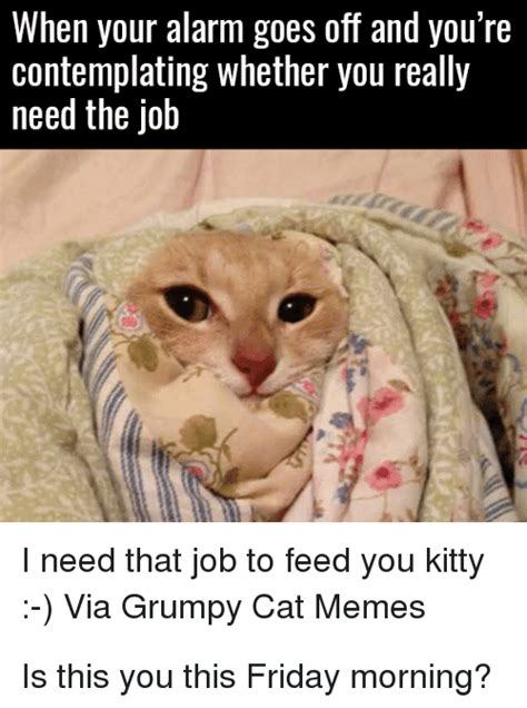 25 Best Memes About Grumpy Cat Memes Grumpy Cat Memes