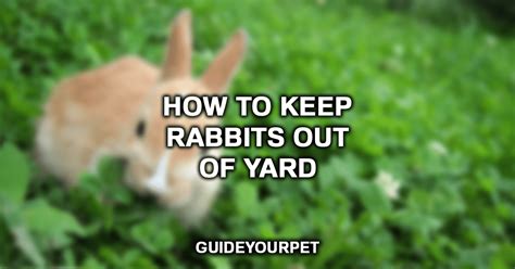 7 Ways To Keep Rabbits Out Your Lawn And Garden 2023