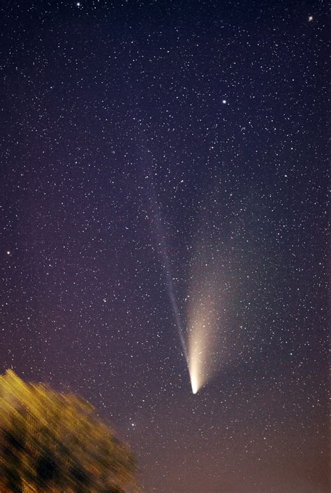 Comet C2020 F3 Neowise Size Large Getting Started Photo