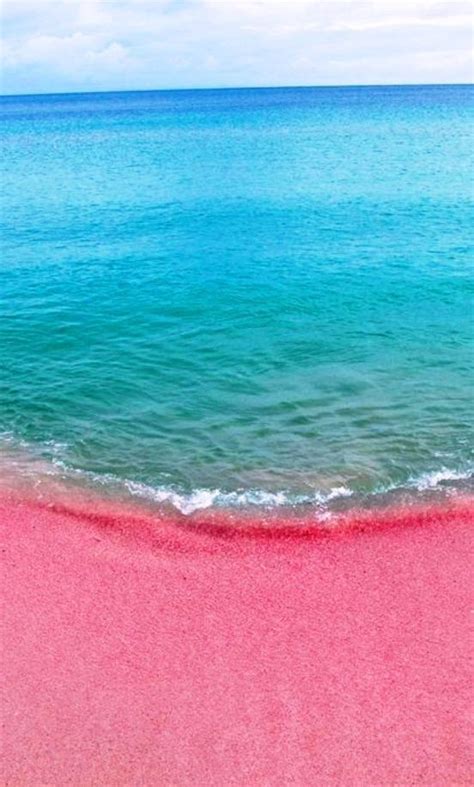 Pink Sands Beach In Harbour Island The Bahamas Beach Beaches In The