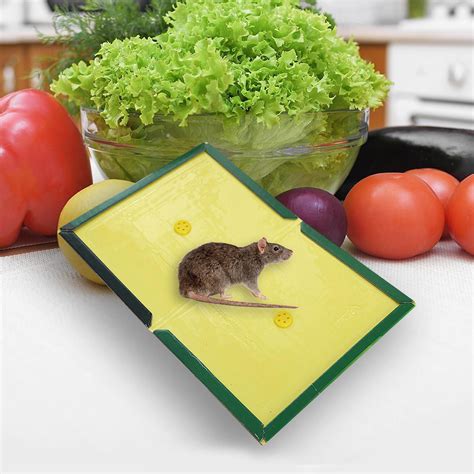 Super Strong Sticky Mice Traps Mouse Glue Boards Rat Glue Pad Mouse