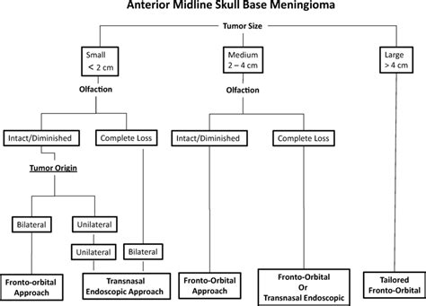 Surgical Management Of Anterior Skull Base Meningiomas Download