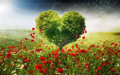 Download Wallpapers Tree Heart Red Wildflowers Love Nature Ecology