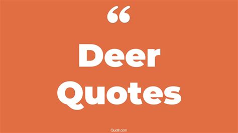 45 Jaw Dropping Deer Quotes That Will Unlock Your True Potential