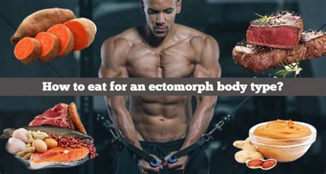 Ectomorph Diet Bodybuilding Wizard