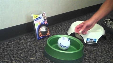 I don't think it's a good idea to just fill his bowl up again right away. How to Stop Your Dog From Gulping Food - YouTube
