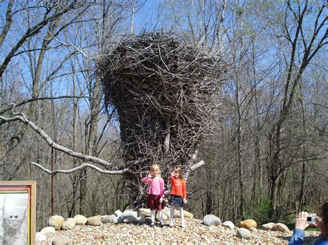 Worlds Biggest Eagles Nest Really In Ohio Tom Powell Flickr