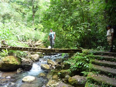 La gran aventura por el Parque Nacional de Tingo María Inforegion