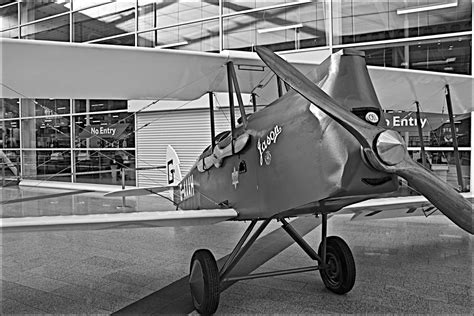 Brought to massachusetts back around 1869, they were imported for the intention of silk. Jason Black and White | Gipsy Moth in monochrome the plane ...