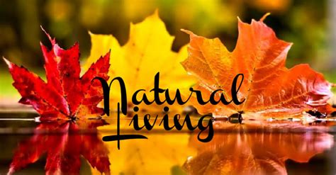 Natural Living