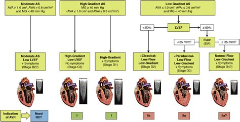 Cardiac Imaging For Assessing Low Gradient Severe Aortic Stenosis Jacc Cardiovascular Imaging