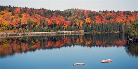 Where To See The Best Fall Colours In Ontario The Ontario Parks