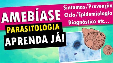 AmebÍase Parasitologia Youtube