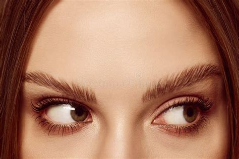 Sideways Glance Close Up Of Beautiful Brown Female Eyes Perfect Trendy Eyebrow Stock Photo
