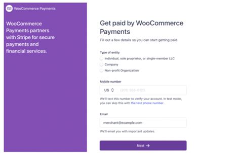 Woocommerce Payments Everything You Need To Know Wisdmlabs