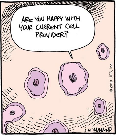 Pin By Carolina Biological Supply Com On Science Jokes Science Puns