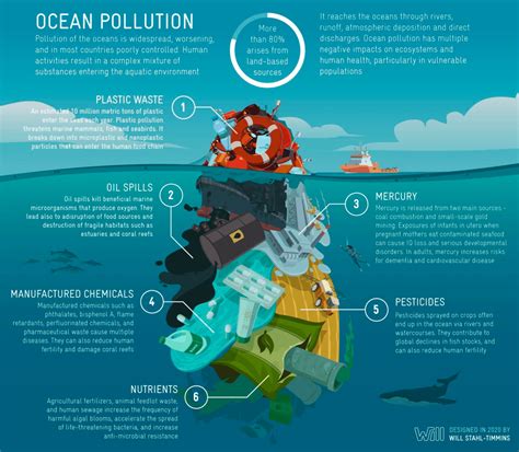 Bc Global Observatory Releases Study On Ocean Pollution And Human