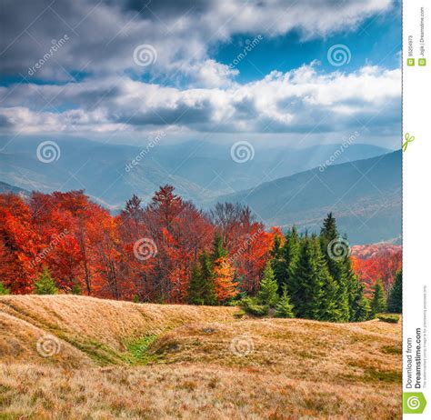 Beautiful Outdoor Scene In The Carpathian Mountains Stock Image Image