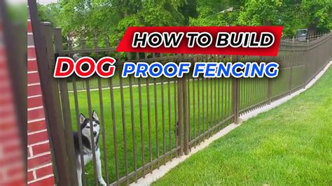 How To Build Dog Proof Fencing Youtube
