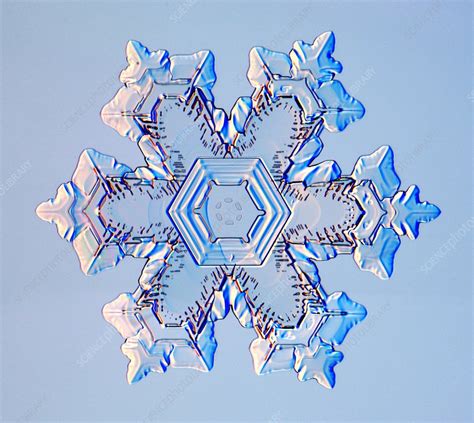 Snowflake Stock Image E1270423 Science Photo Library