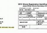Illinois Secretary Of State License Renewal Photos
