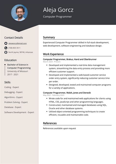 Computer Programmer Resume Example Free Guide