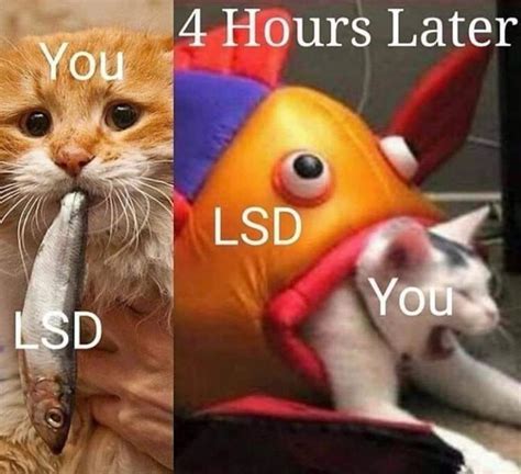 You Vs Lsd R Drugmemes