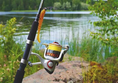 The Best Spinning Reels Reviewed Field Tested