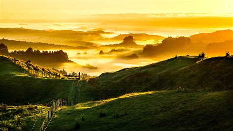 Download 1920x1080 New Zealand Sunrise Golden Hour Field Foggy