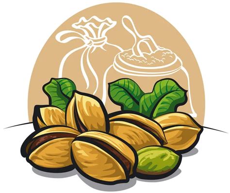 pistachios stock vectors royalty free pistachios illustrations depositphotos®