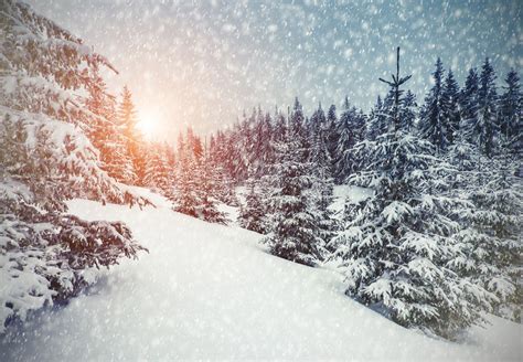 Winter Wonderland K Wallpapers Top Những Hình Ảnh Đẹp