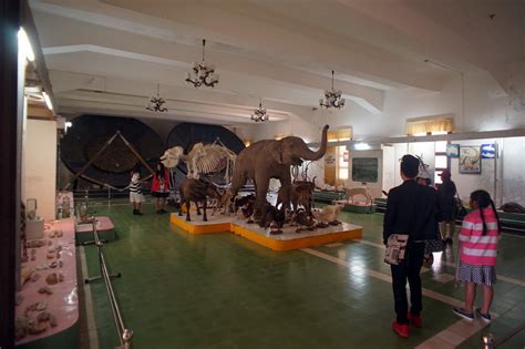 Chùm ảnh Khám phá bảo tàng trong tu viện cổ giữa rừng ở Đà Lạt