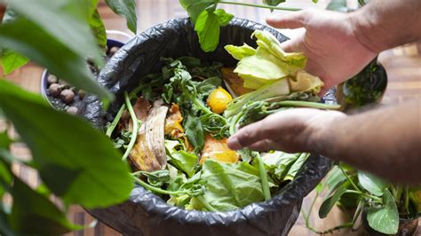 Top 8 Tips For Composting Oversixty