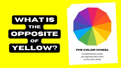 What Is The Opposite Of Yellow Complementary Color Color Meanings