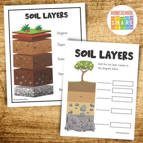 Soil Notebook Pages Homeschool Share
