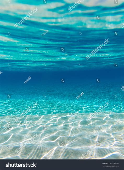 Underwater Shoot Infinite Sandy Sea Stock Photo 321194480 Shutterstock