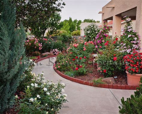 Rose Roof Garden Rose Garden Design Garden Landscape