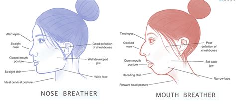 How Does Tongue Posture Affect Our Appearance And Health Luminous