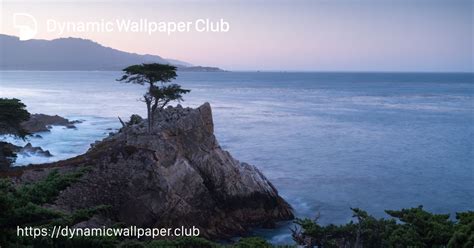Macos Monterey Dynamic Wallpaper Club