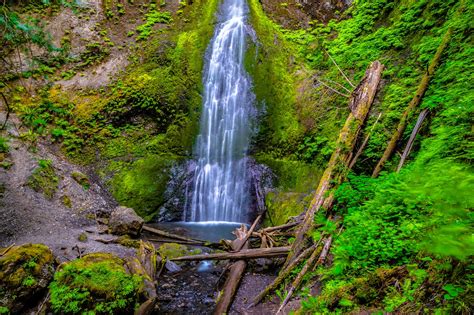 Finding The 10 Best Hikes In Olympic National Park Hiking Washington