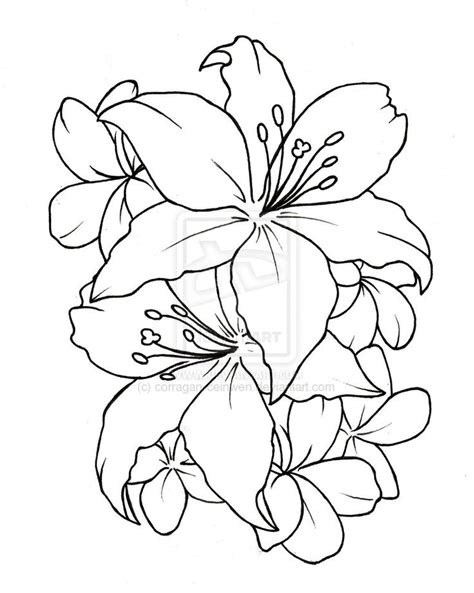 Outline Drawing Of Flowers At Getdrawings Free Download