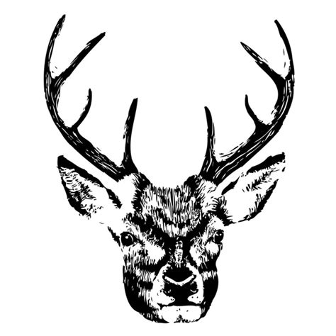 Deer Sketches Deer Head Hand Drawn Sketch Style Outline Vector