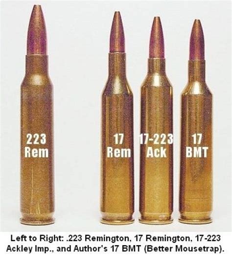 17 Remington Centerfire Rifle Cartridge