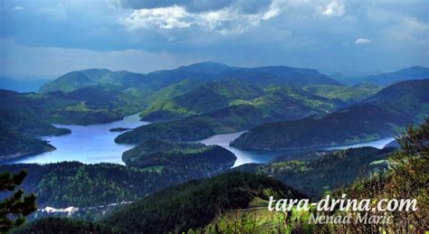 Panorame Planina Tara Reka Drina Foto Nenad Marić