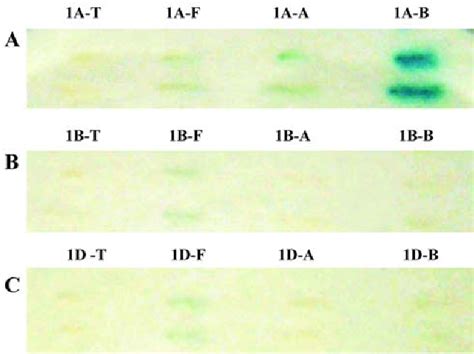 Figure 1 From Yeast Two Hybrid Screening For Proteins That Interact