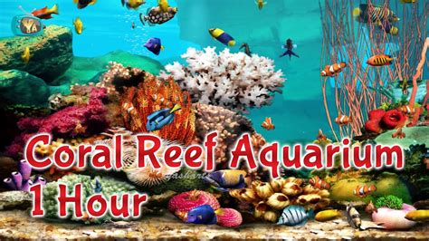 Coral Reef Aquarium 1 Hour 🐠 Relaxing Fish Screensaver Yash Arts