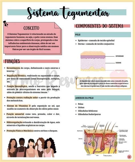 Subcutaneous Tissue Skin Anatomy Mind Maps Physical Therapy Frases