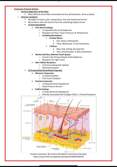 Dermatology Notes 🩺 Discover High Yield Medical Study Notes